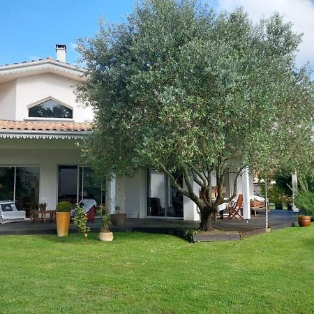 Agreable Maison Sur Le Bassin D'Arcachon Andernos-les-Bains Dış mekan fotoğraf