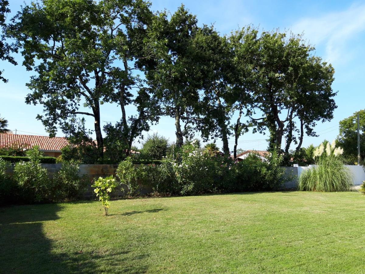 Agreable Maison Sur Le Bassin D'Arcachon Andernos-les-Bains Dış mekan fotoğraf