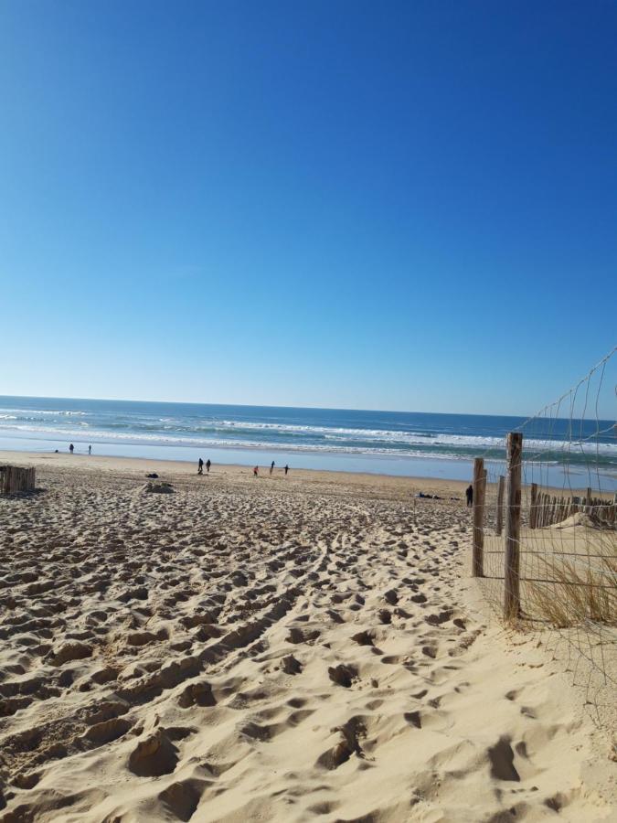 Agreable Maison Sur Le Bassin D'Arcachon Andernos-les-Bains Dış mekan fotoğraf
