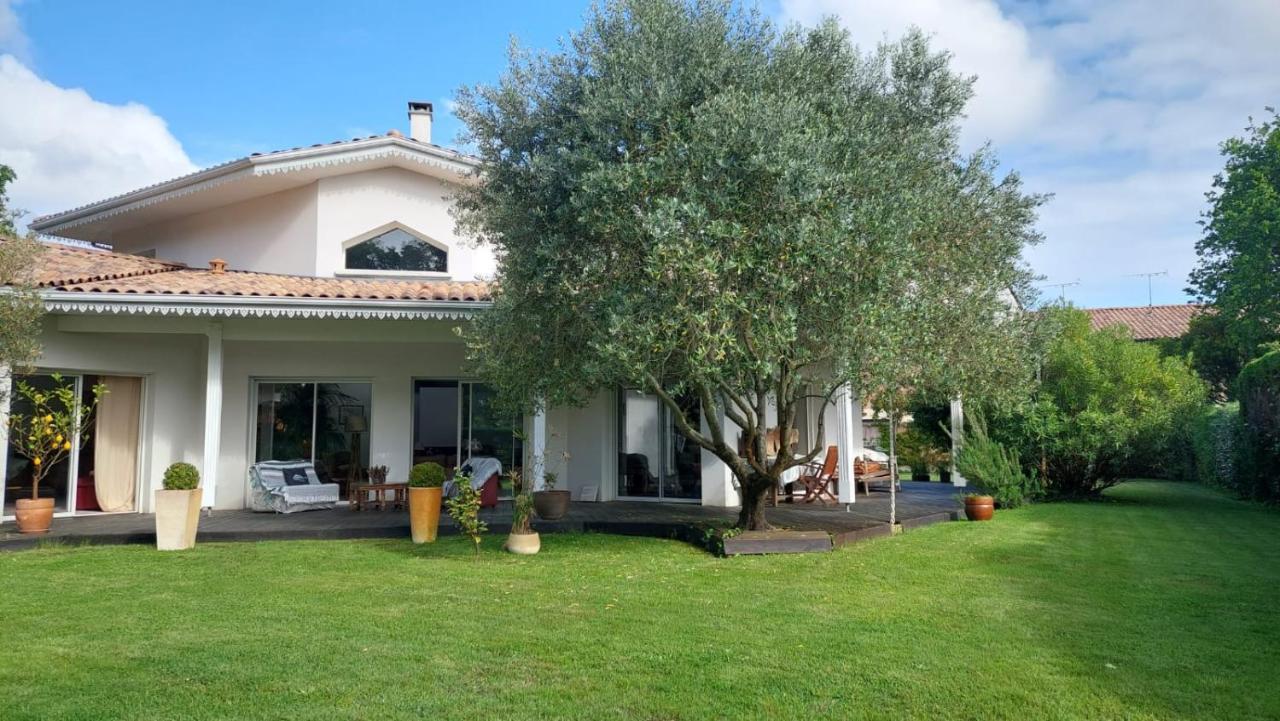 Agreable Maison Sur Le Bassin D'Arcachon Andernos-les-Bains Dış mekan fotoğraf
